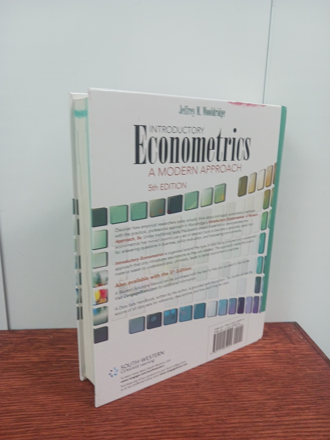 Introductory Econometrics: A Modern Approach (Upper Level Economics Titles)