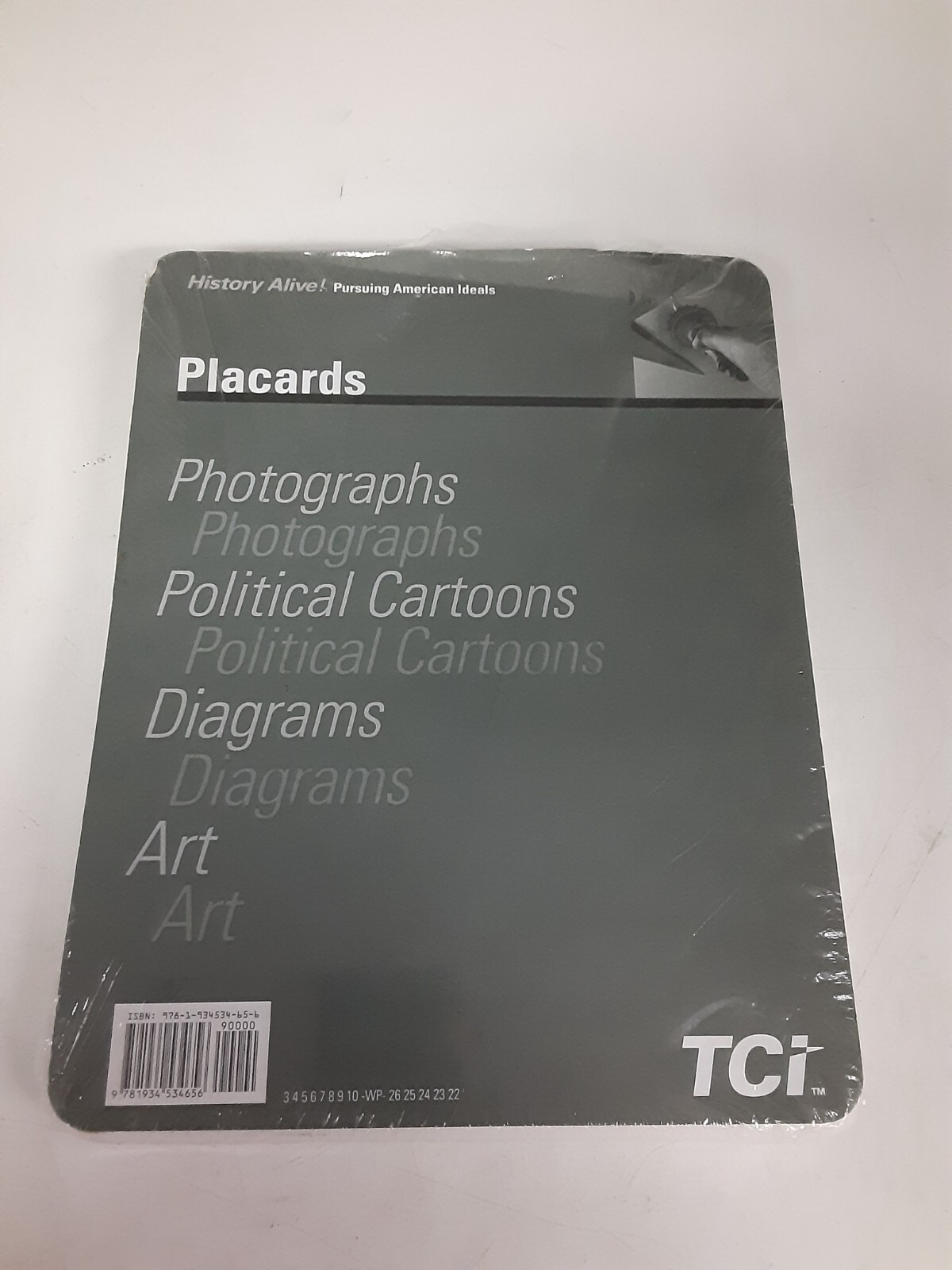 History Alive! Pursuing American Ideals Placards by TCI Unused
