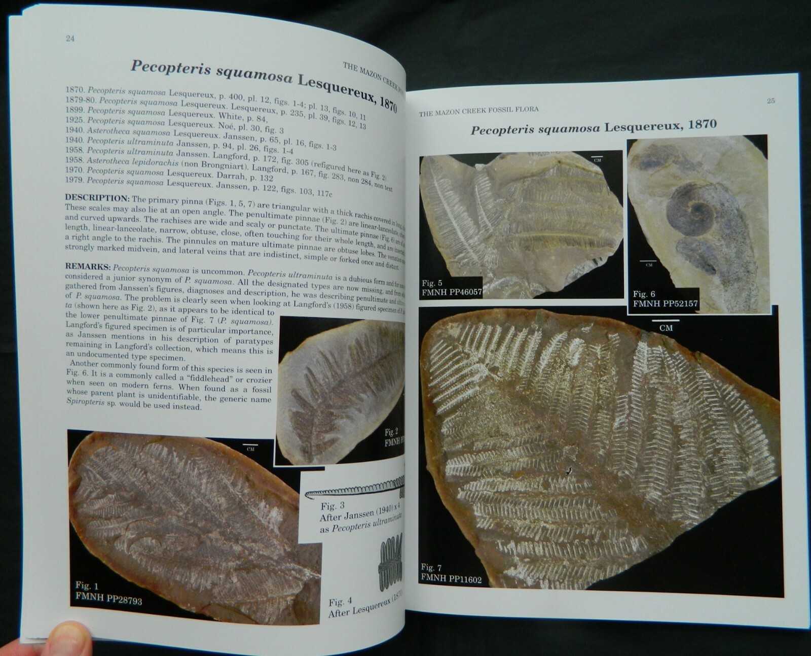The Mazon Creek Fossil Flora, ESCONI hard cover book, fossil plants, 2006 Wittry
