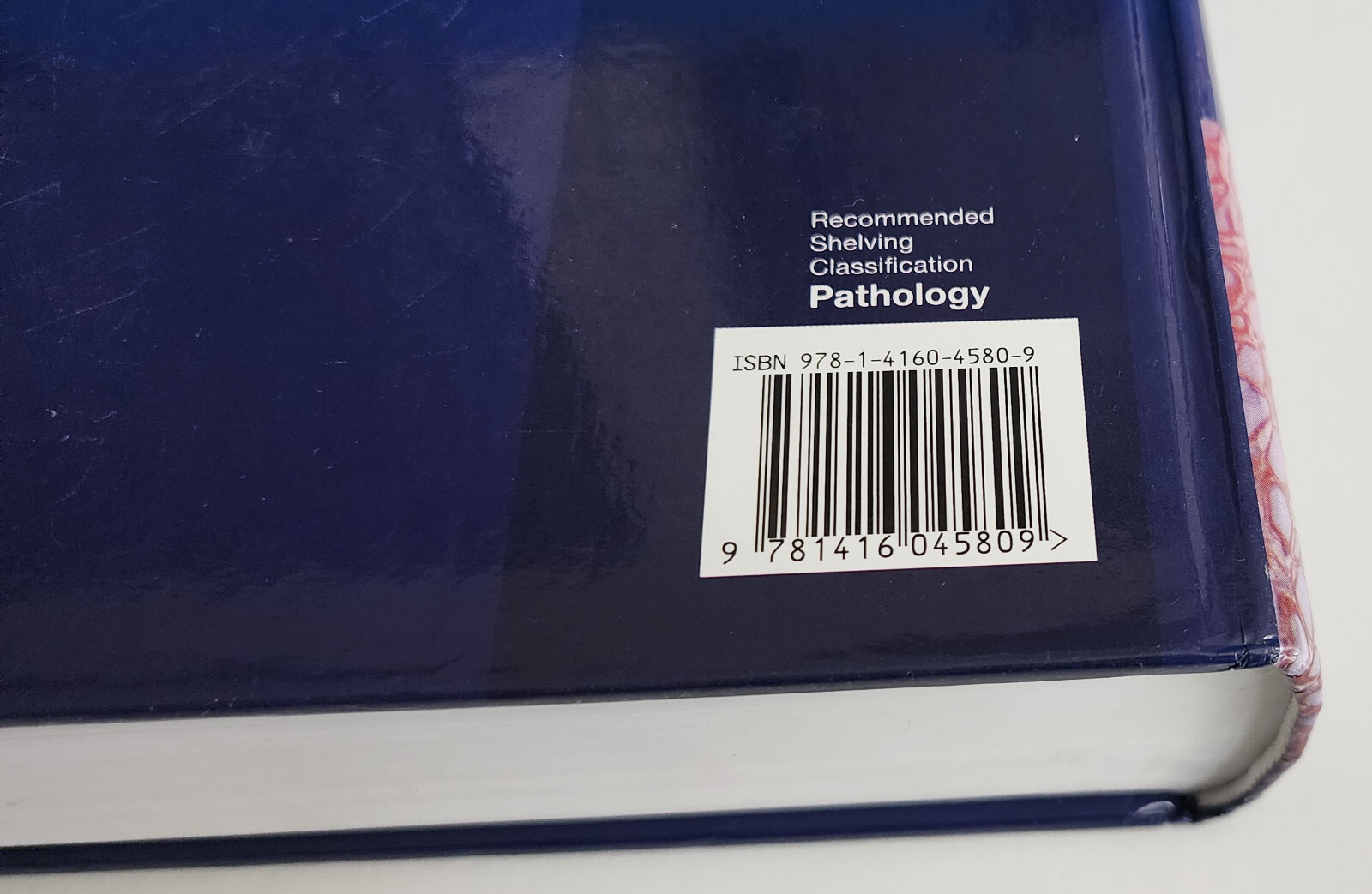 Differential Diagnosis in Surgical Pathology – Expert Consult – 9781416045809