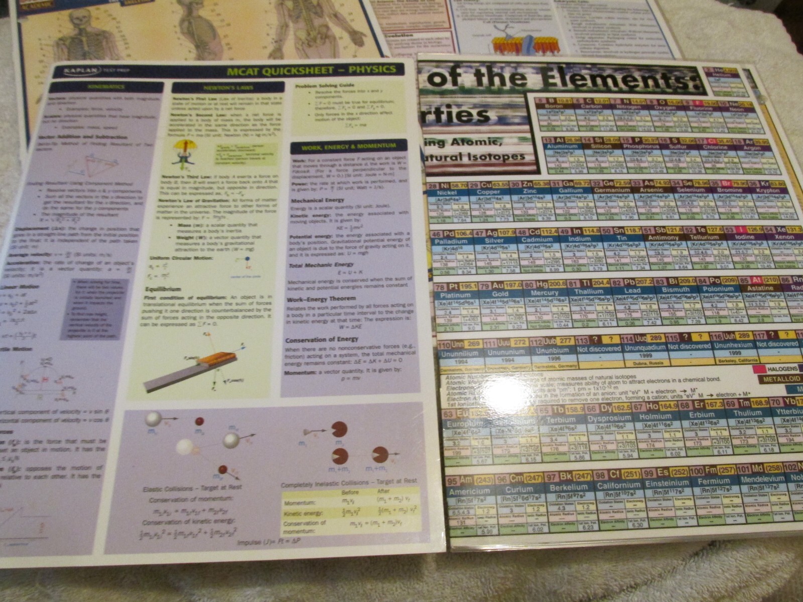 Lot 4 Quick Study Academic Reference Guides SCIENCE Anatomy Biology Physics +
