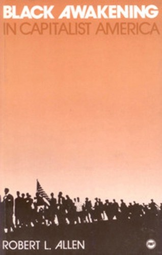Robert Allen Black Awakening in Capitalist America: An A (Paperback) (UK IMPORT)