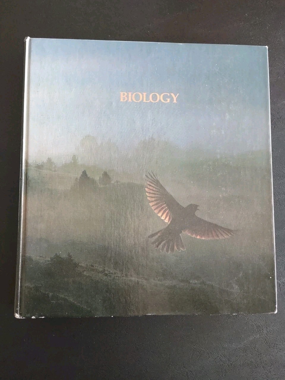 Biology Textbook By Jensen, Heinrich, Wake And Wake 1979 Many Illustrations
