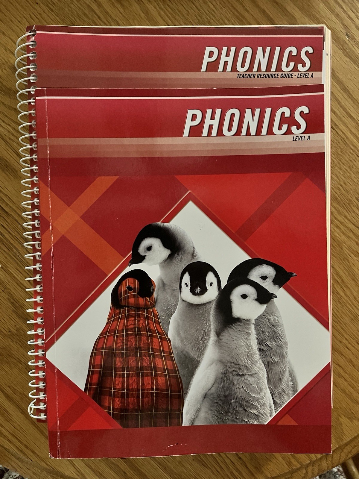 Grade 1 MCP Plaid Phonics Level A Homeschool Bundle Student Teacher Edition 1st
