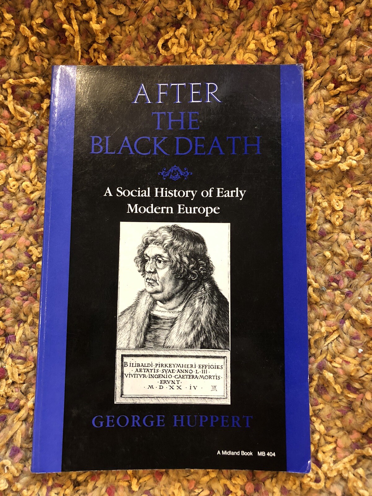 After the Black Death: A Social History of Early Modern Europe Huppert, George