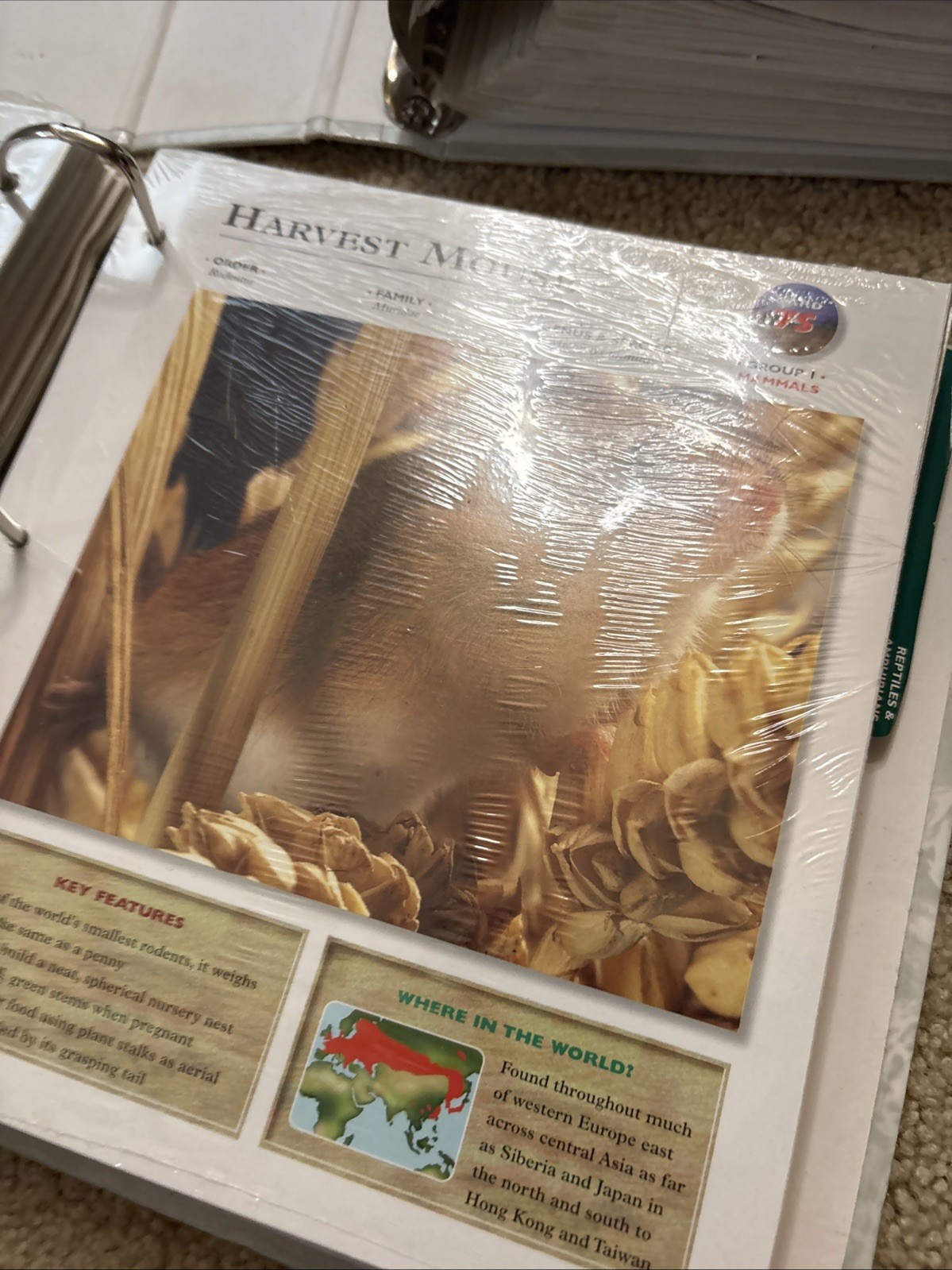 WILDLIFE EXPLORER ~ 3 Binders Full w/Animal Science Groups Various Pages