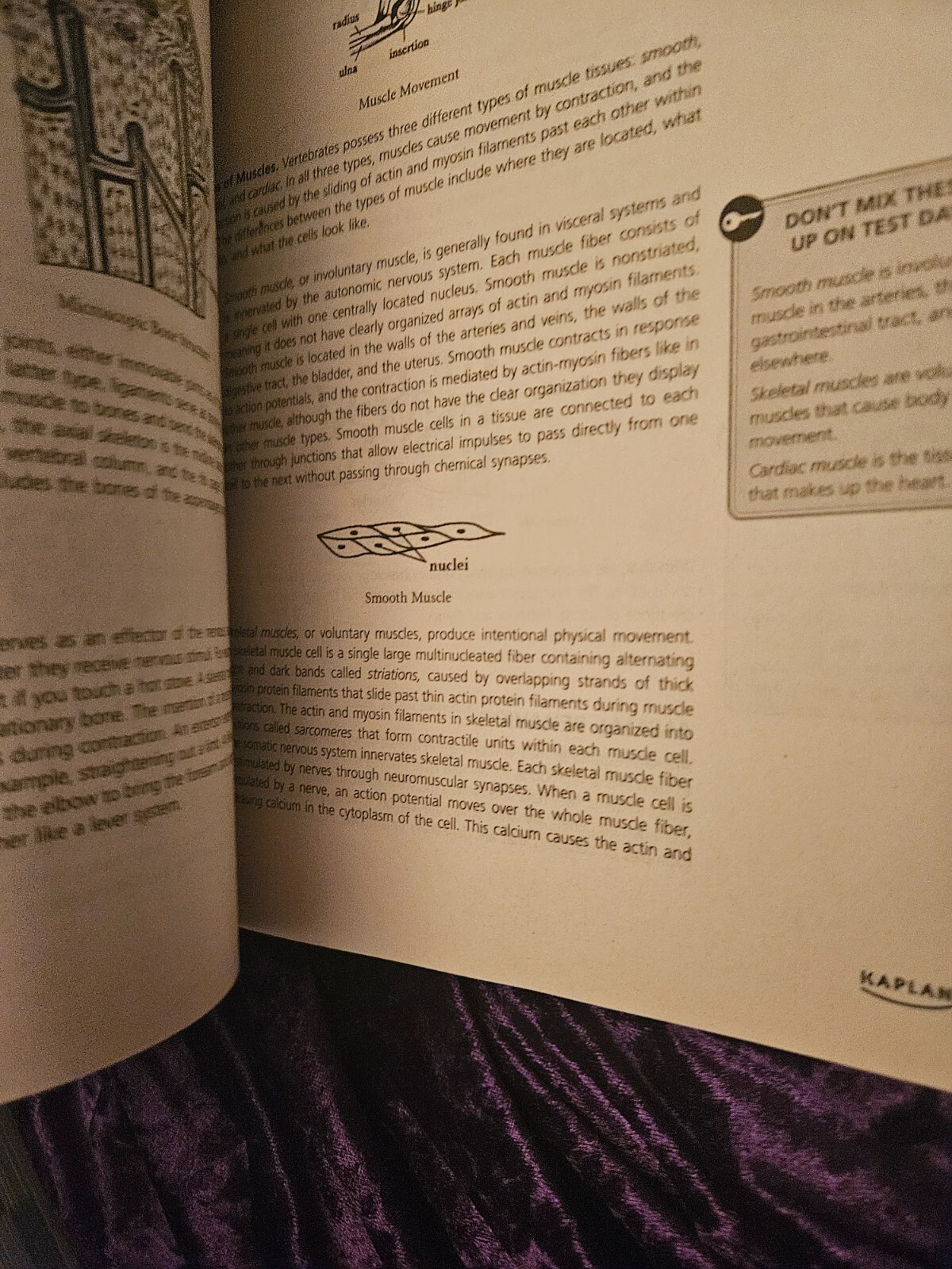 Kaplan SAT Subject Test: Biology E/M 2009-2010 by Kaplan Publishing Staff – BOOK
