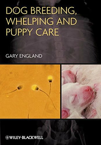 Dog Breeding, Whelping and Puppy Care, England 9780470673133 Free Shipping+=