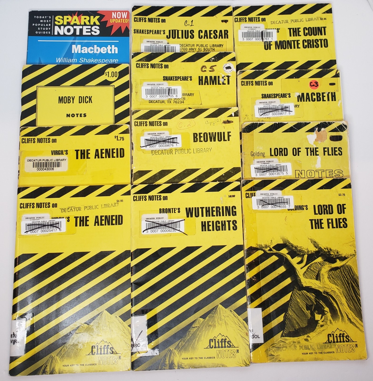 12 Book Set – Cliffs Notes 11 Titles & Sparks Notes 1 Title – Various Titles