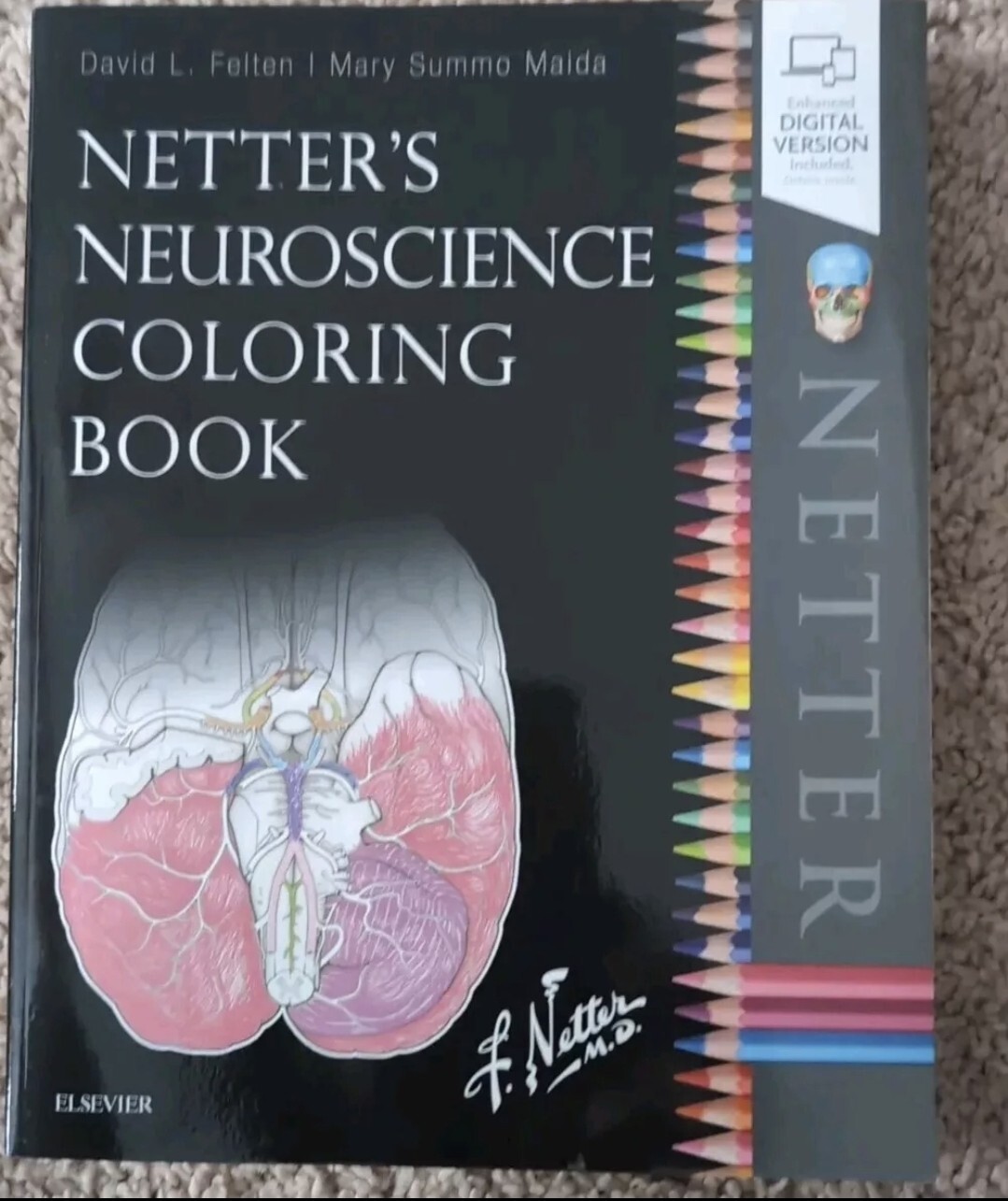 Netter’s Neuroscience Coloring Book