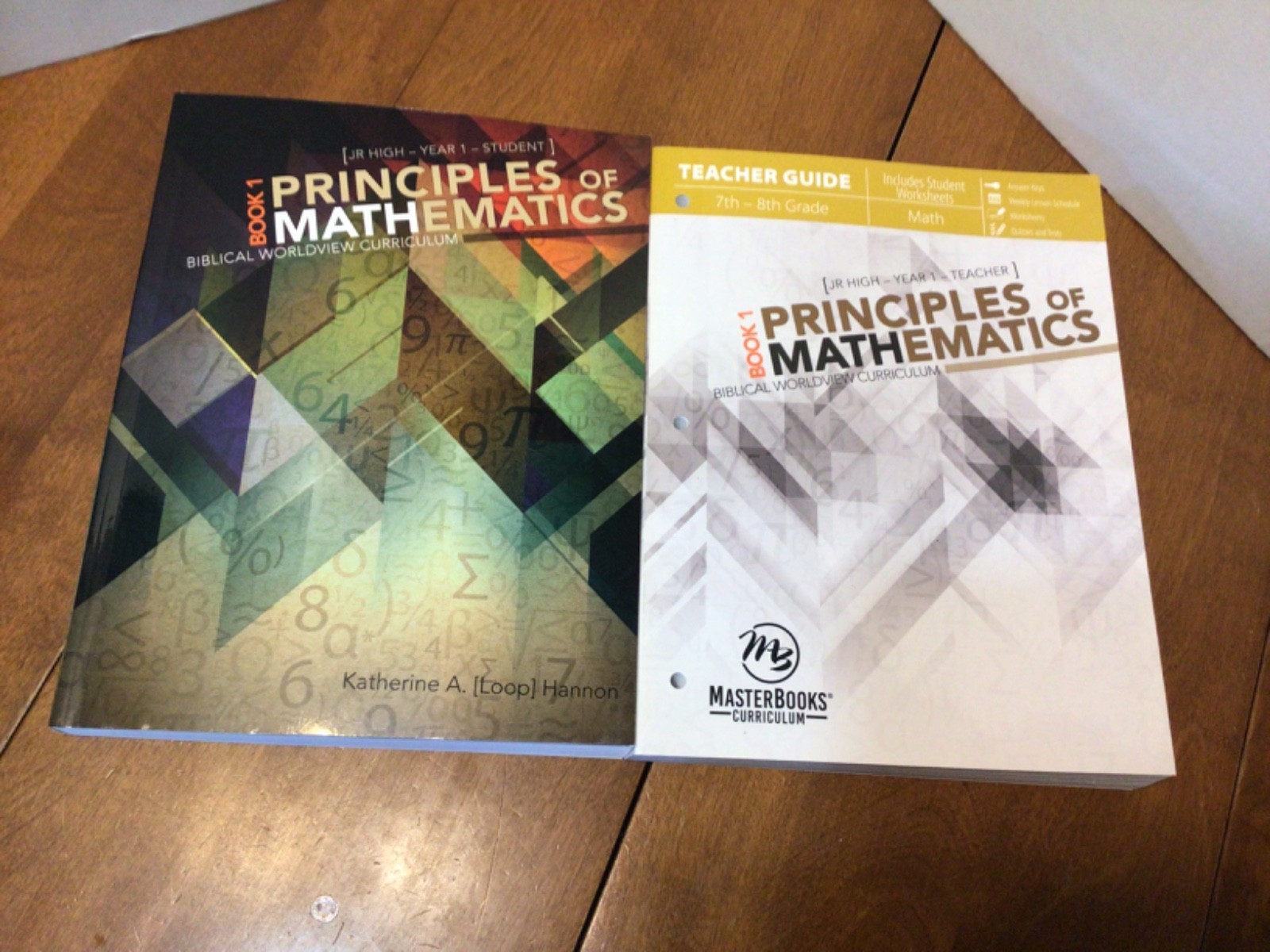Lot of 2 Principles Of Mathematics Year 1 Student Teacher GUIDE Master Books Jr.