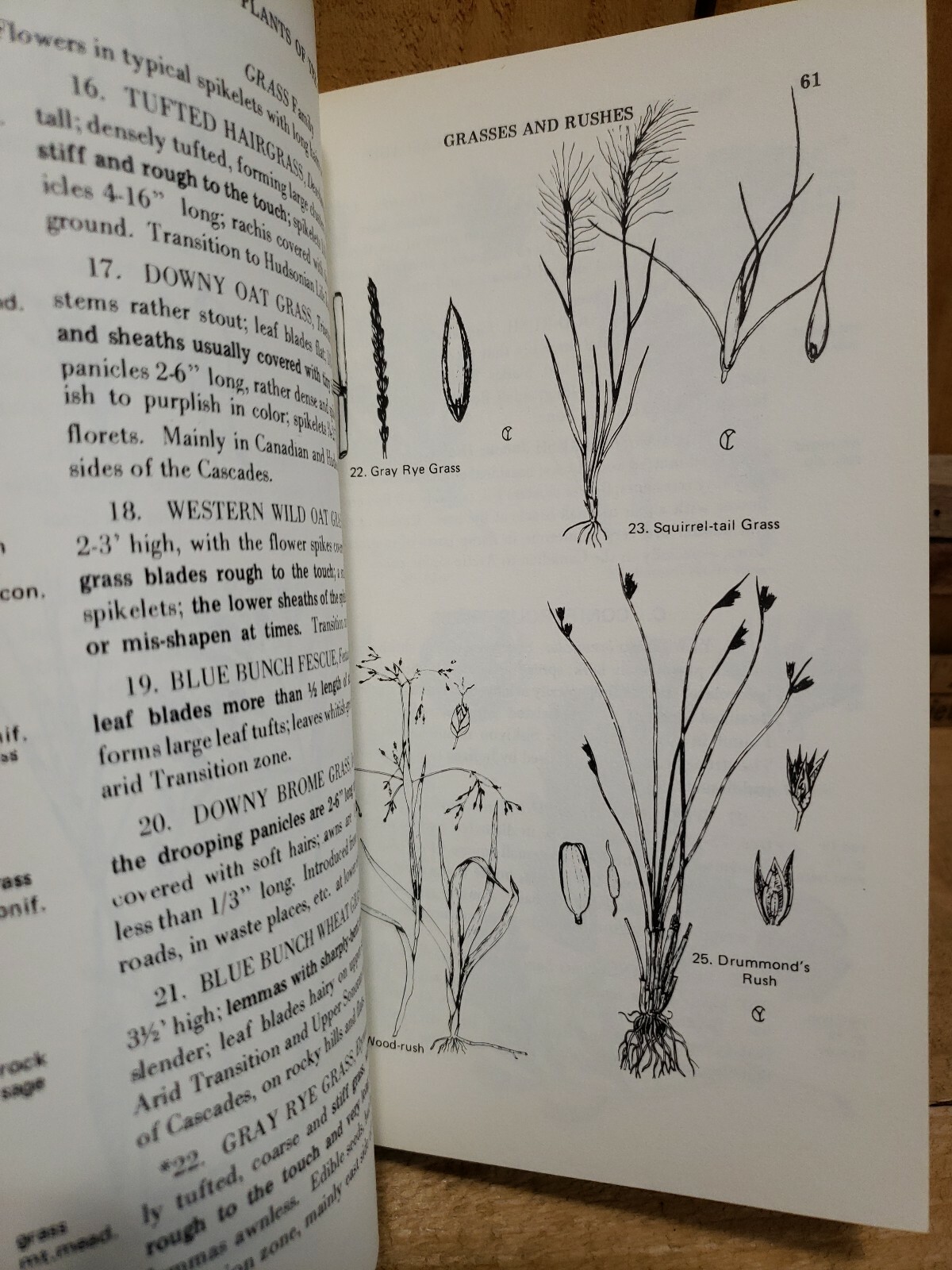 Wildlife and Plants of the Cascades by Charles Yocom and Vinson Brown 1971 Vtg