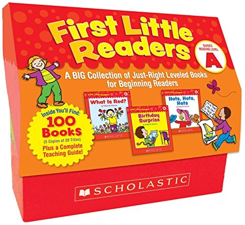 FIRST LITTLE READERS: GUIDED READING LEVEL A: A BIG By Deborah Schecter **NEW**