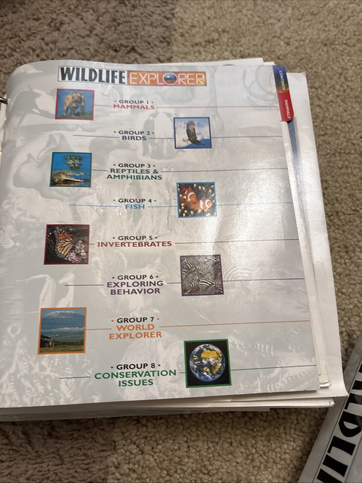 WILDLIFE EXPLORER ~ 3 Binders Full w/Animal Science Groups Various Pages