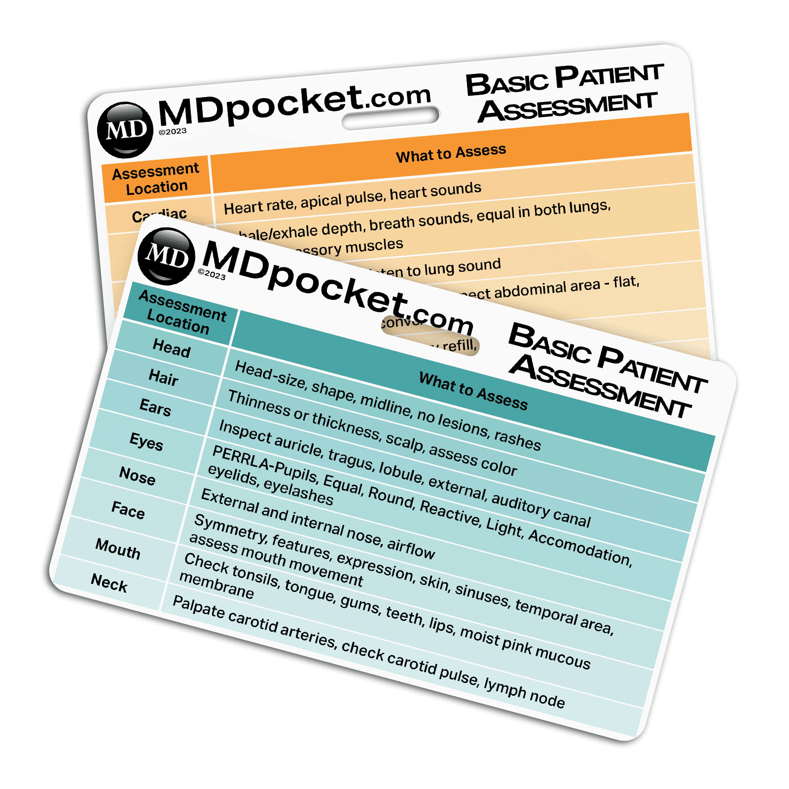 Rapid ID – Basic Patient Assessment