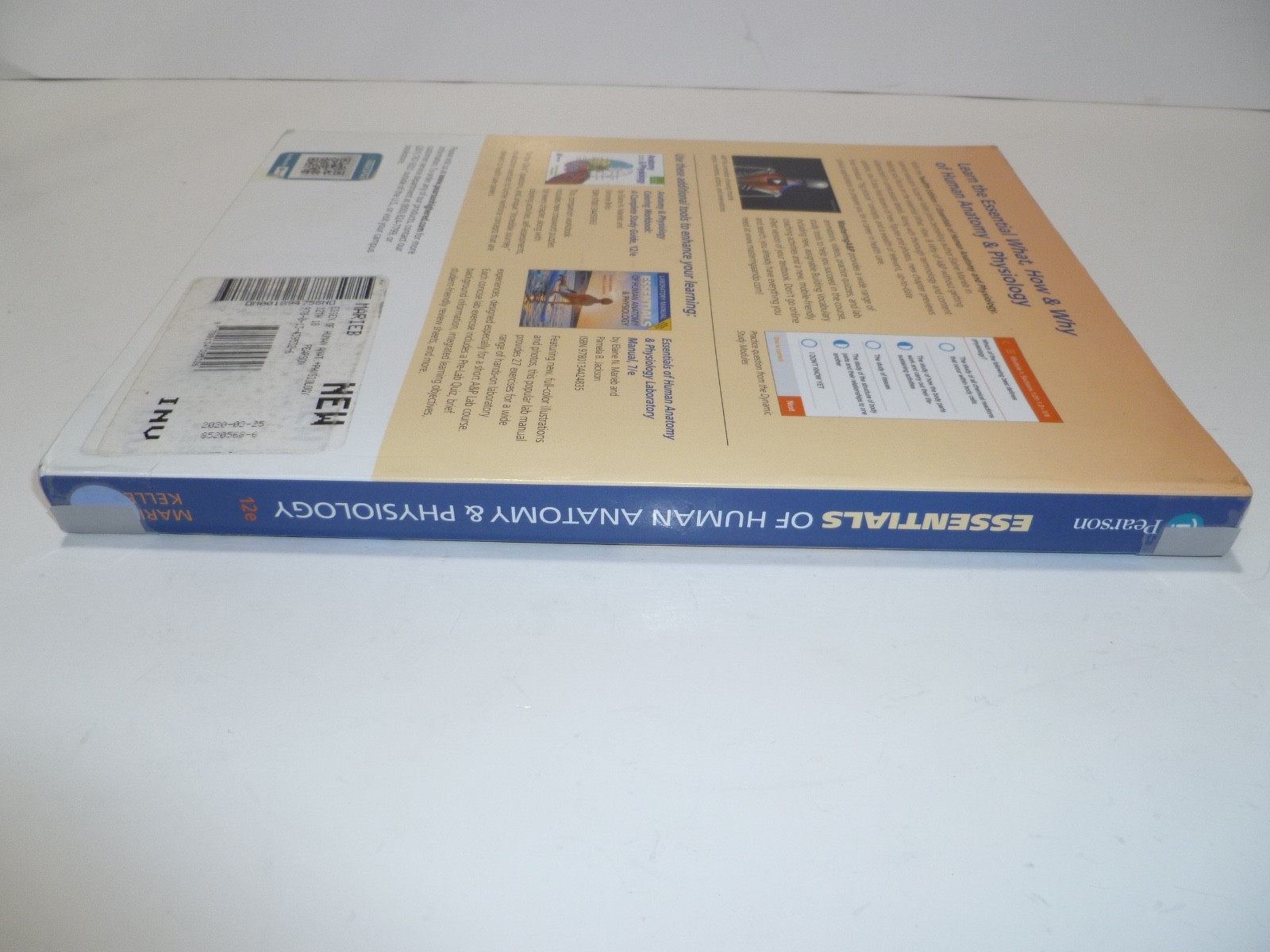 Essentials of Human Anatomy and Physiology by Elaine Marieb and Suzanne…