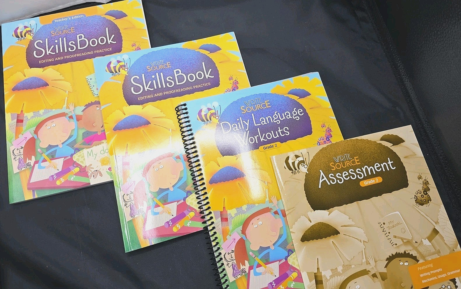 Write Source Skills Book Teachers Edition Student Book & Language Workouts Gr 2
