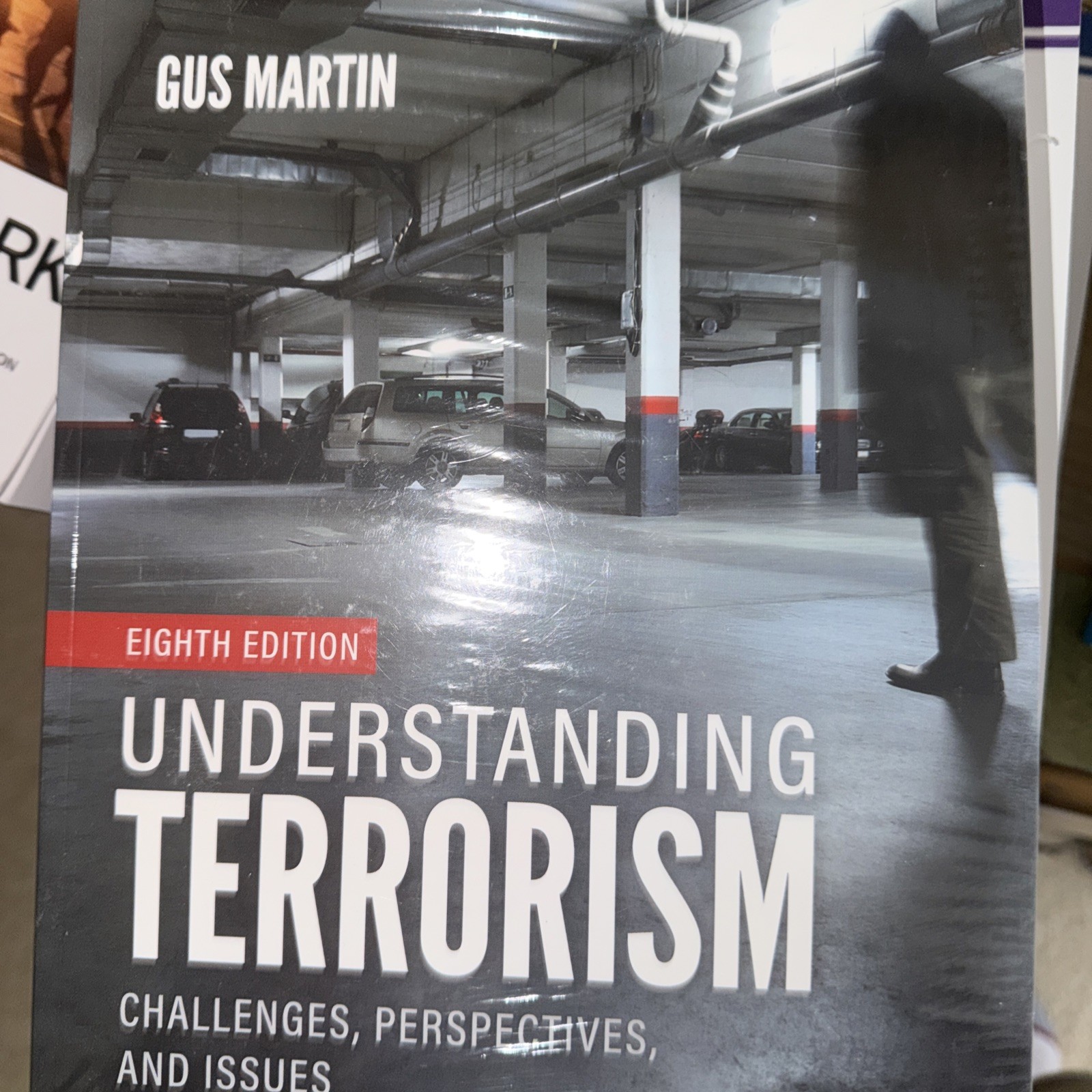 Understanding Terrorism: Challenges, Perspectives, and Issues