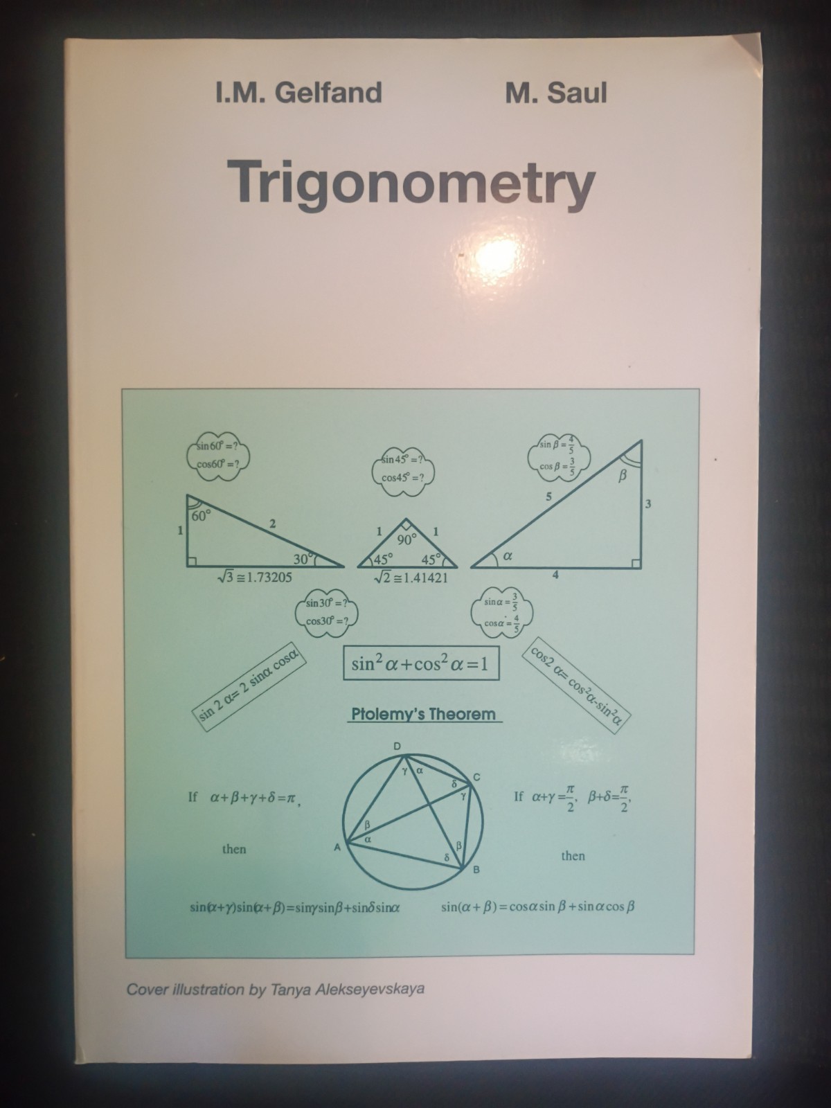 TRIGONOMETRY By I M Gelfand & Mark Saul **BRAND NEW**