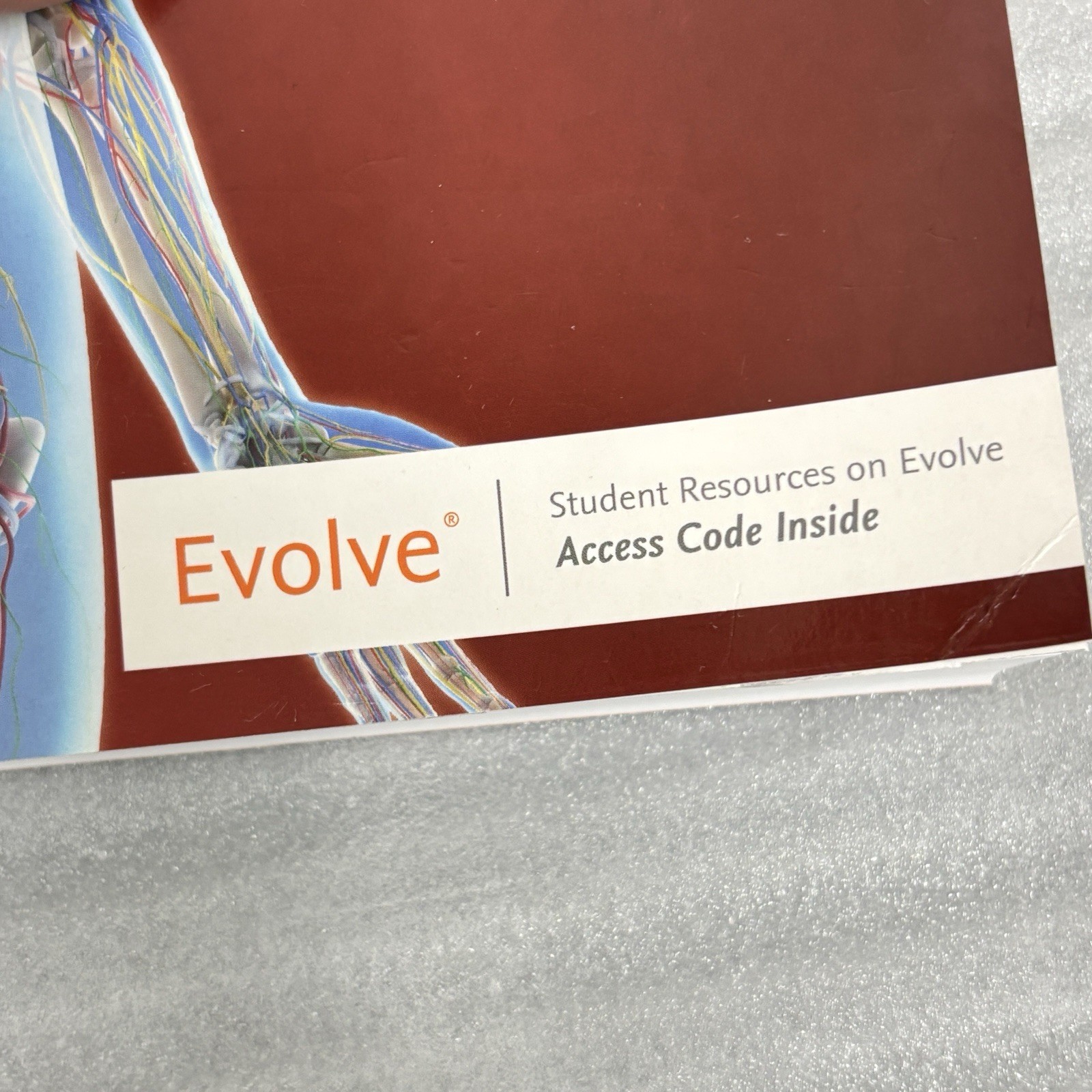 Medical Terminology & Anatomy for Coding 4th Ed – Shiland MS RHIA w/ Access Code