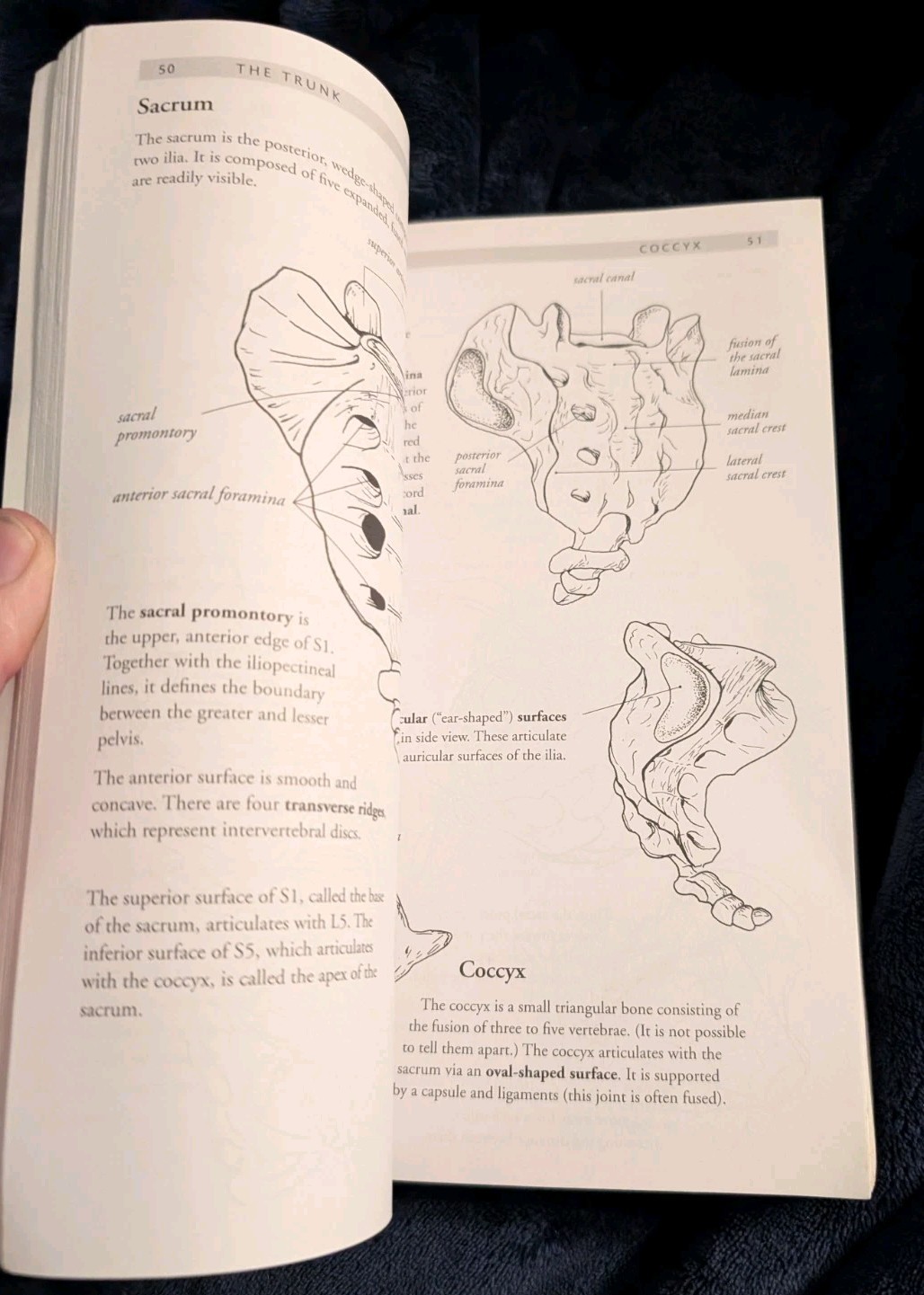 Anatomy of Movement (Revised Edition)
