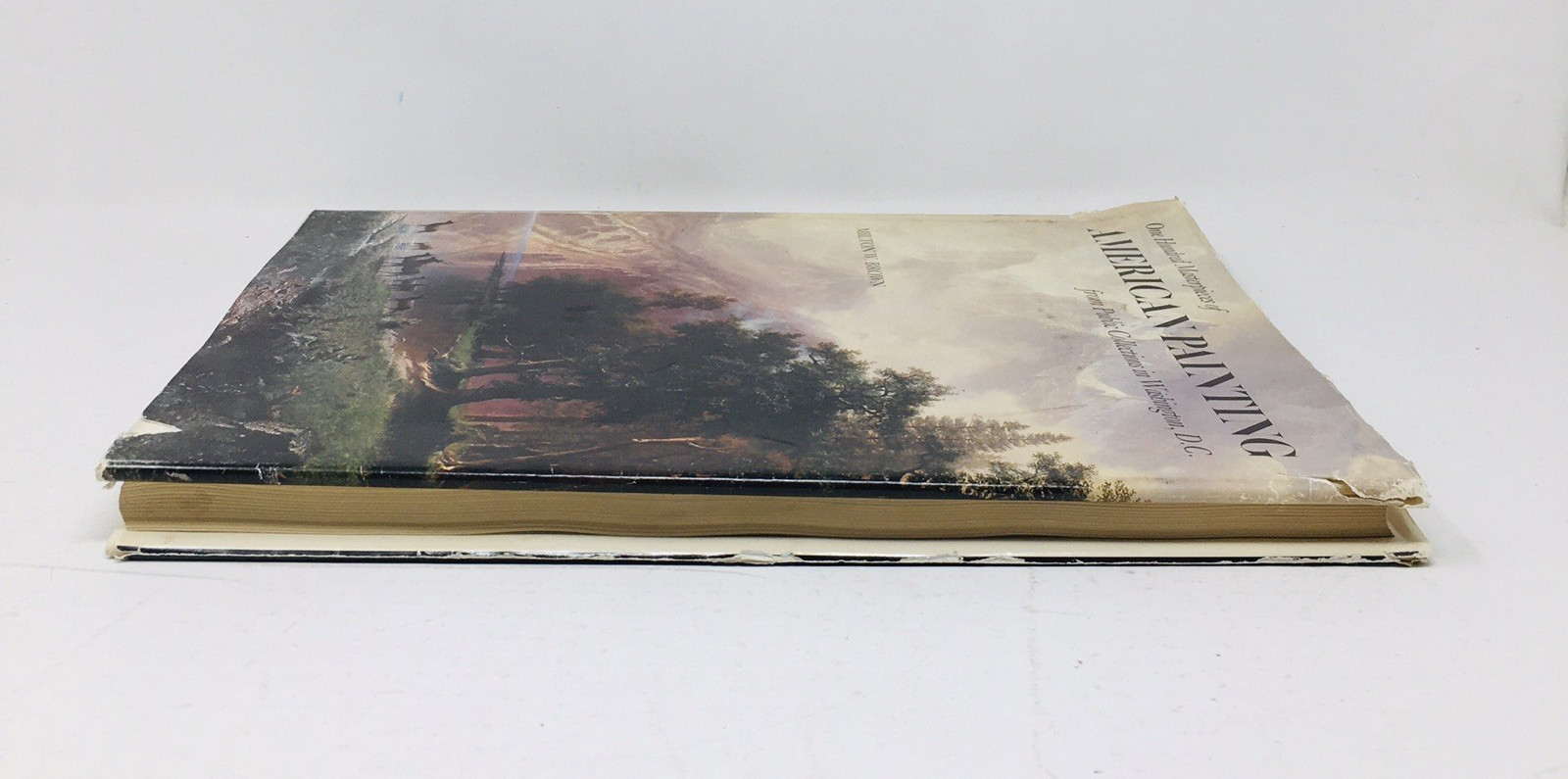 100 Masterpieces of American Painting SIGNED By Milton W Brown 1983 Art Book DC
