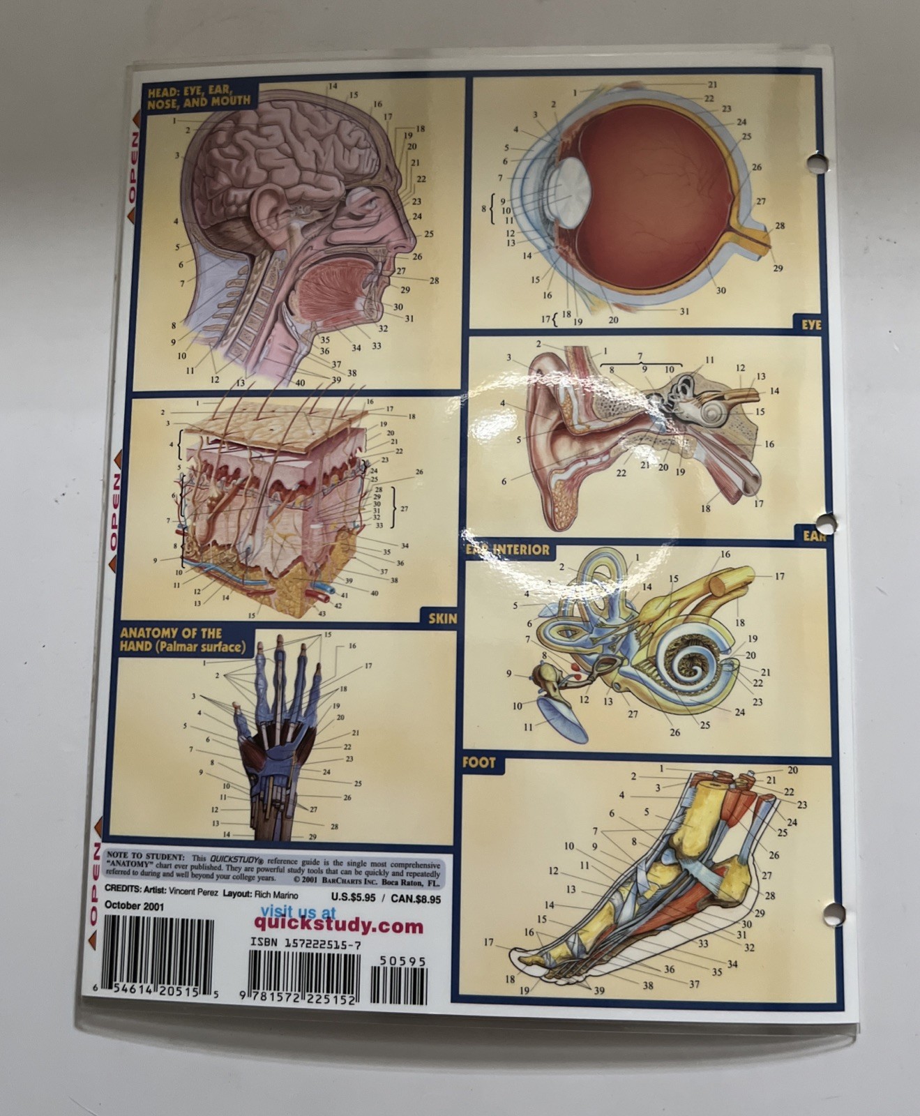 Anatomy Medical Terms Quick Study Academic Reference Study Guides BarCharts