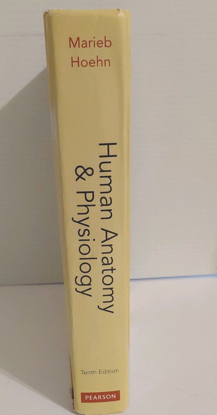 Human Anatomy and Physiology by Elaine N. Marieb and Katja Hoehn (Hardcover)