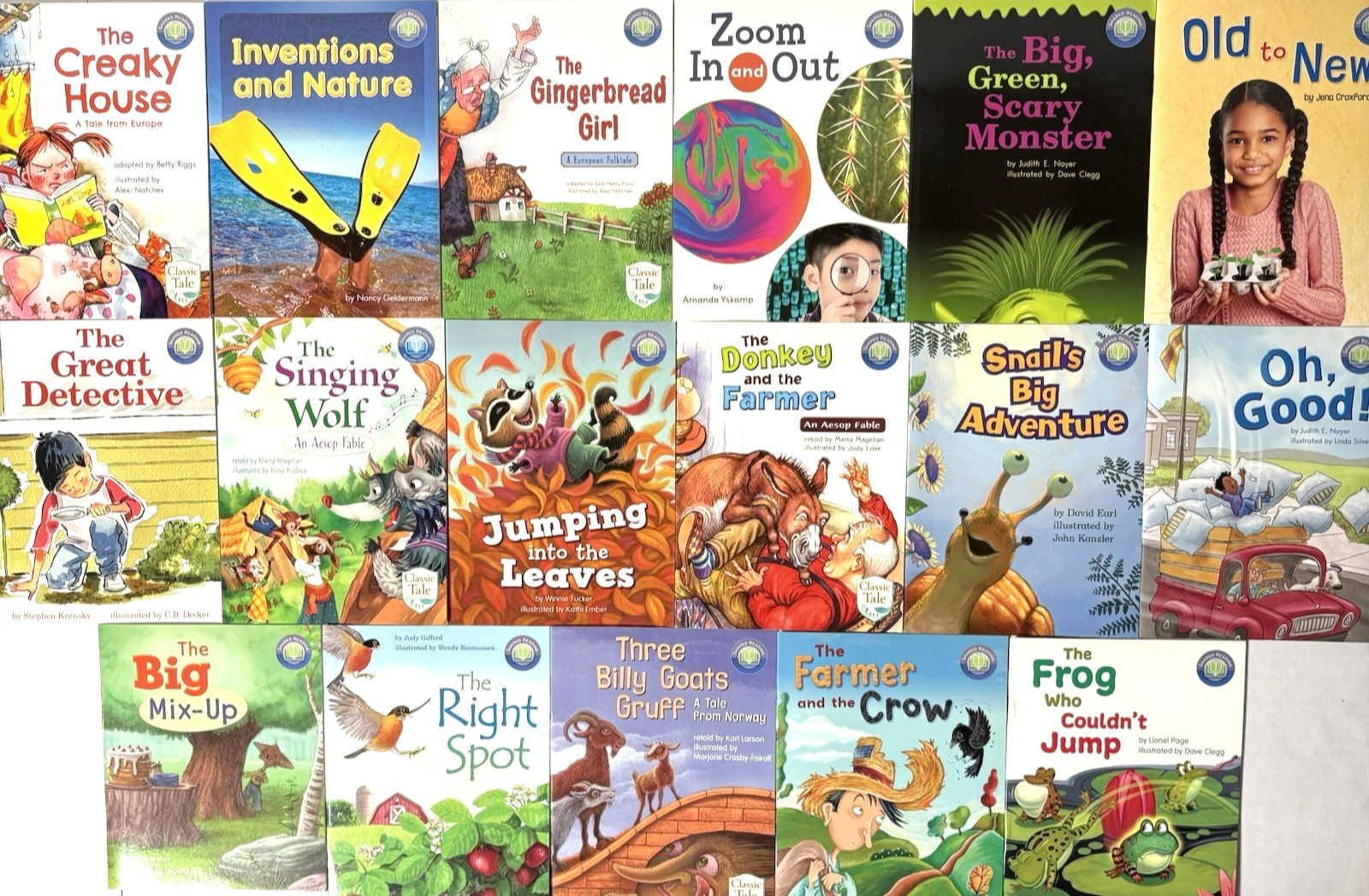GRADE 1 READERS Homeschool Reading Books Fountas & Pinnell Curriculum 17 Books