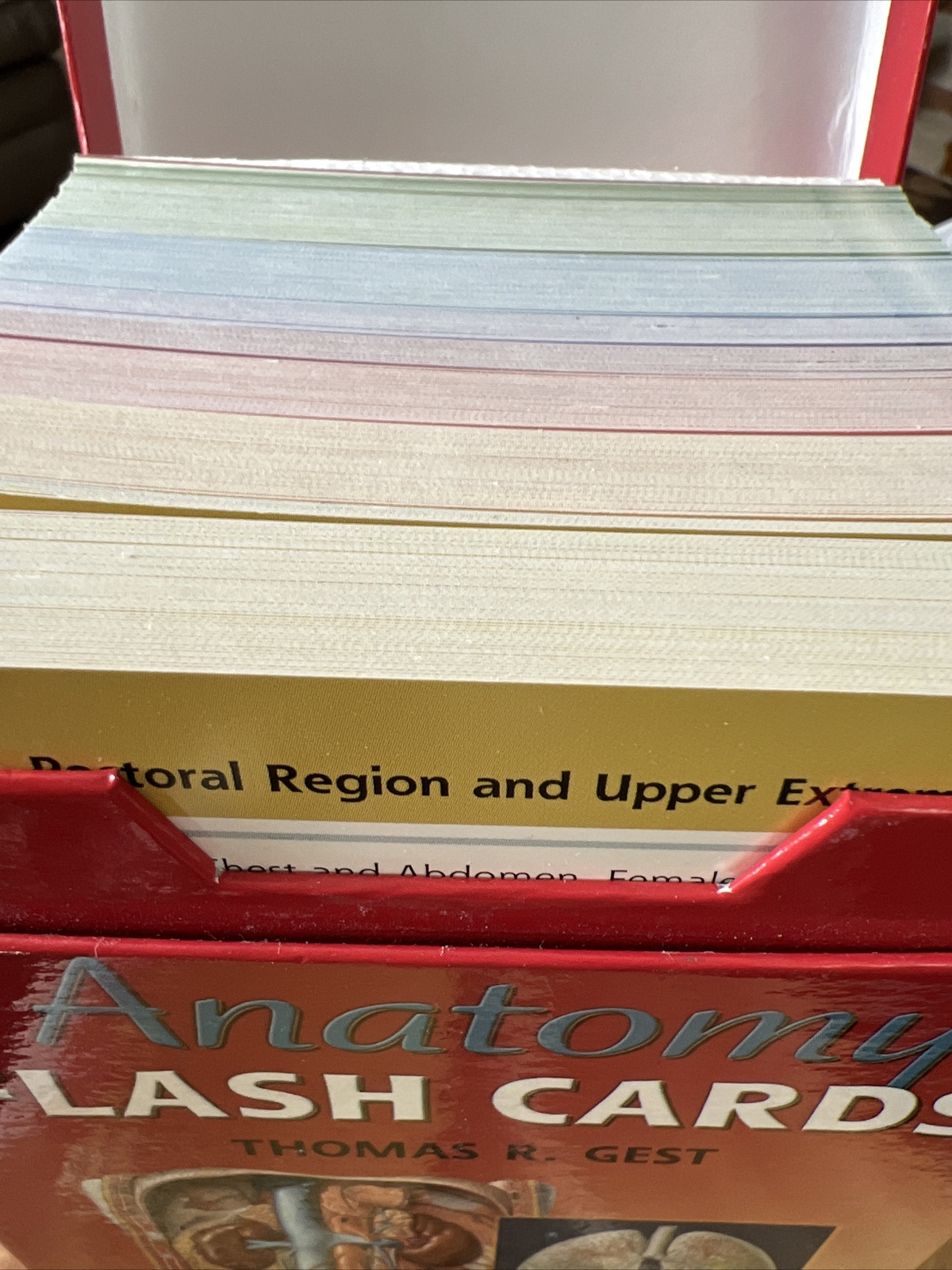 Clemente’s Anatomy Flash Cards by Thomas R. Gest (2007, Cards,Flash Cards)