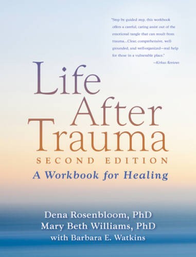 Life After Trauma, Second Edition: A Workbook for Healing – Paperback – GOOD