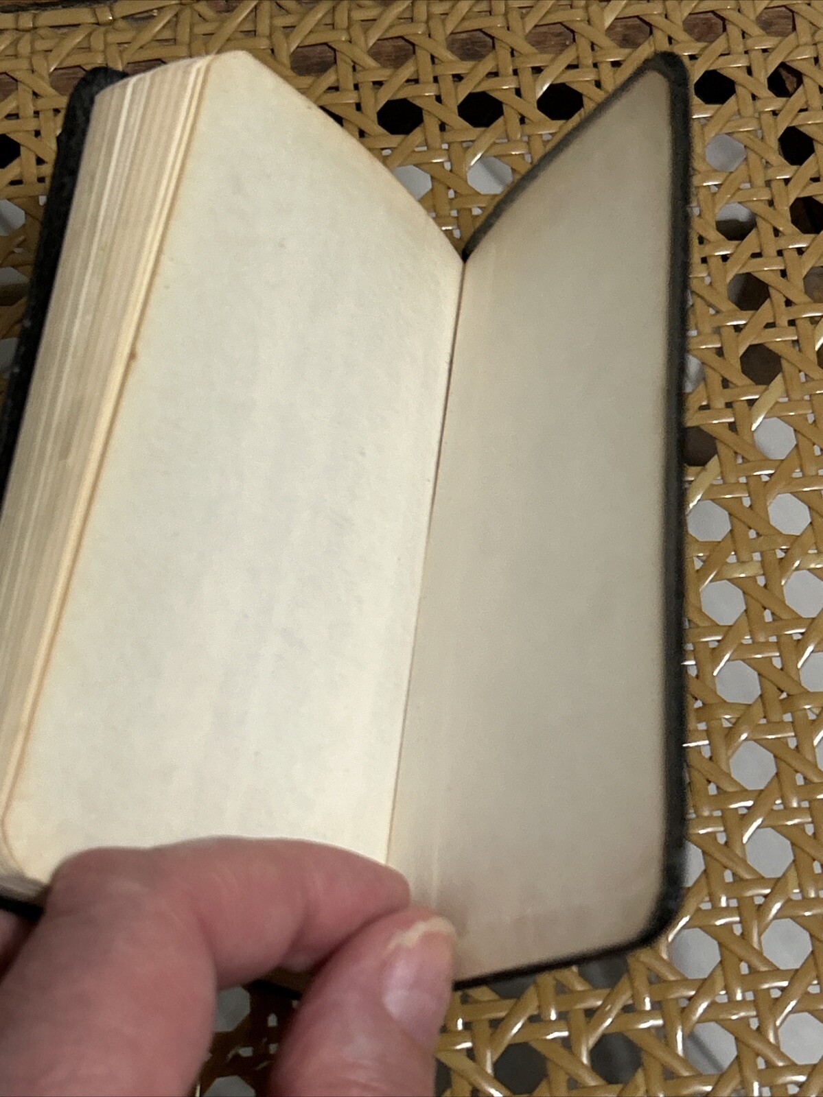 Pocket Size Vintage Webster Dictionary: Modern Revision (1965)