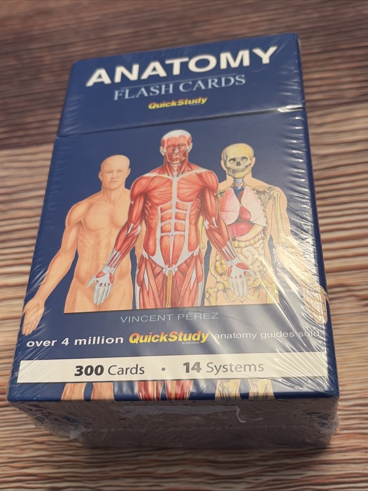Anatomy Flash Cards 300 Cards 14 Systems Quick Study NEW SEALED