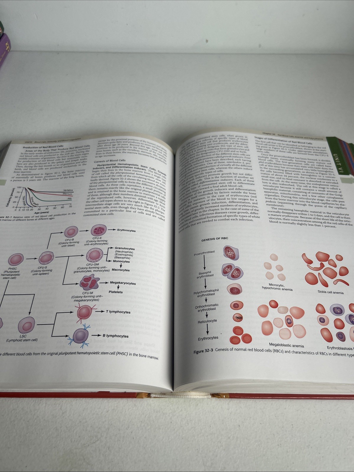 Guyton Physiology Ser.: Medical Physiology by John E. Hall and Arthur C. Guyton