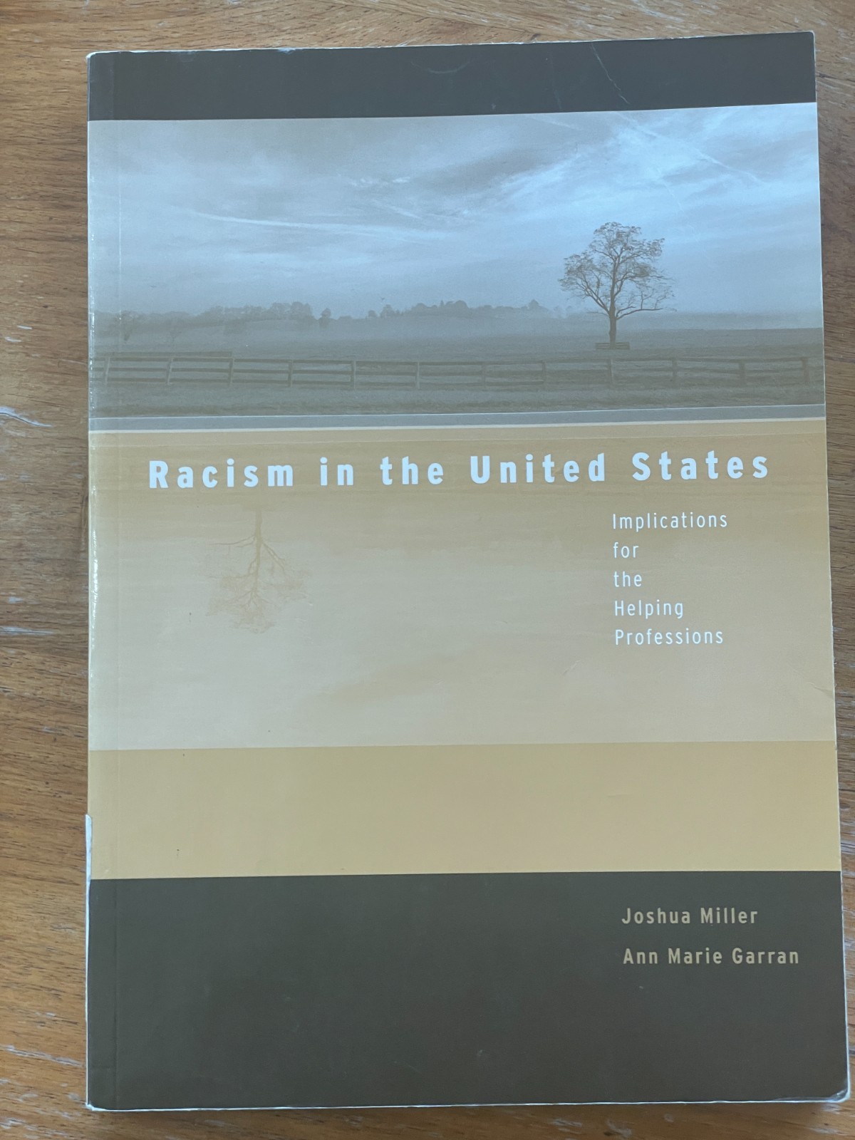 Racism in the United States: Implications for the Helping Profession