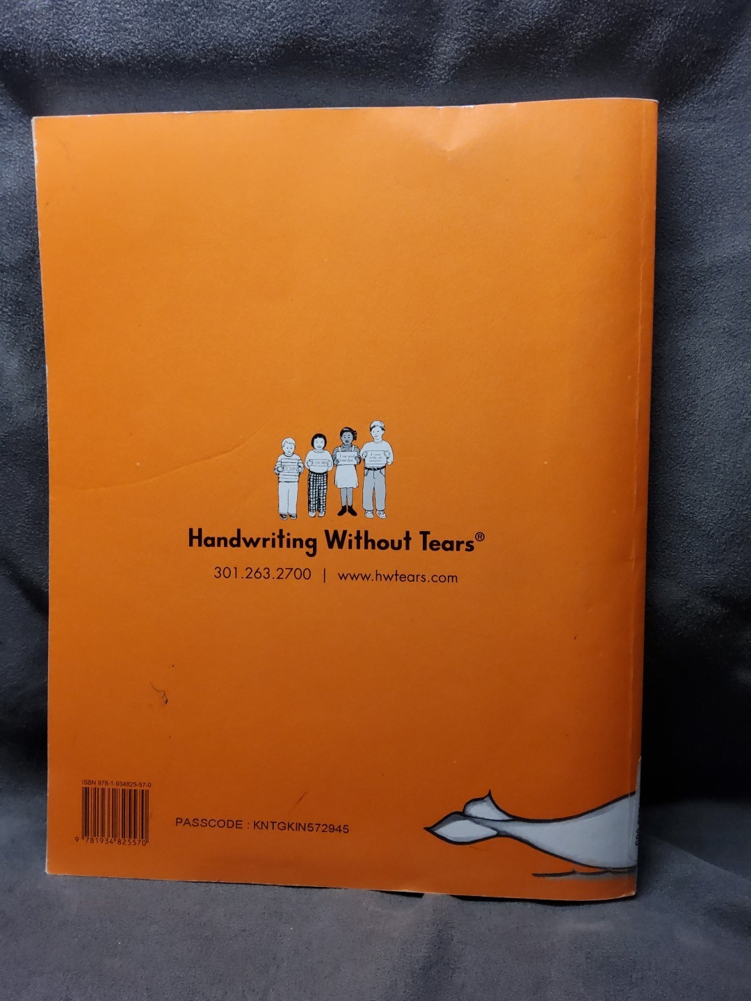 Kindergarten Teacher’s Guide by Jan Z. Olsen and Emily F. Knapton (2013,…