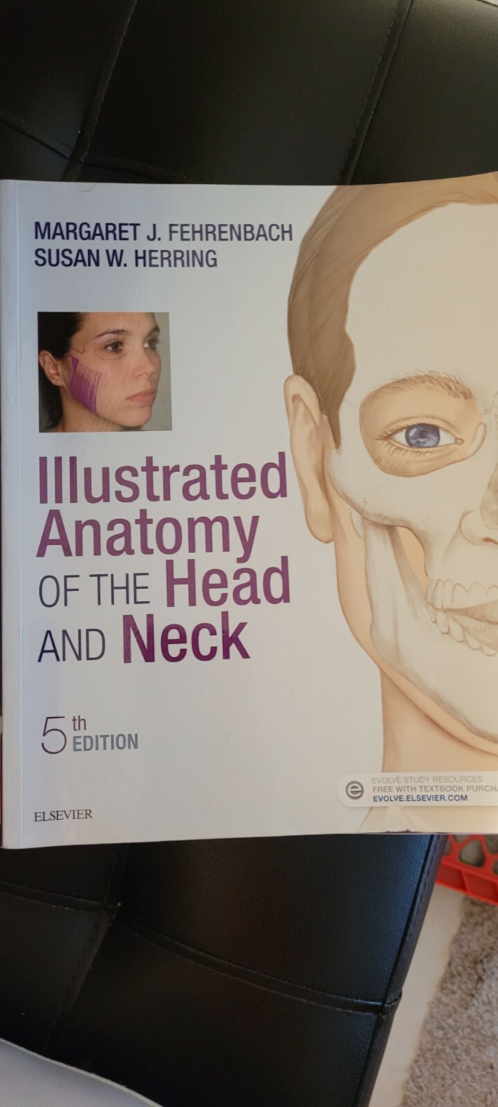 Anatomy of the head and neck