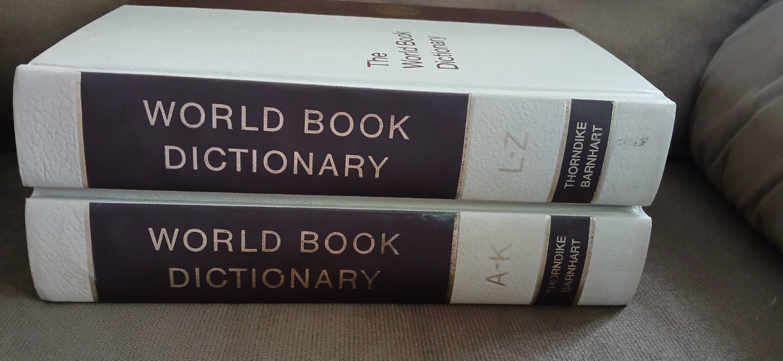 Vintage World Book Dictionary Both Volumes Good Condition Free Shipping