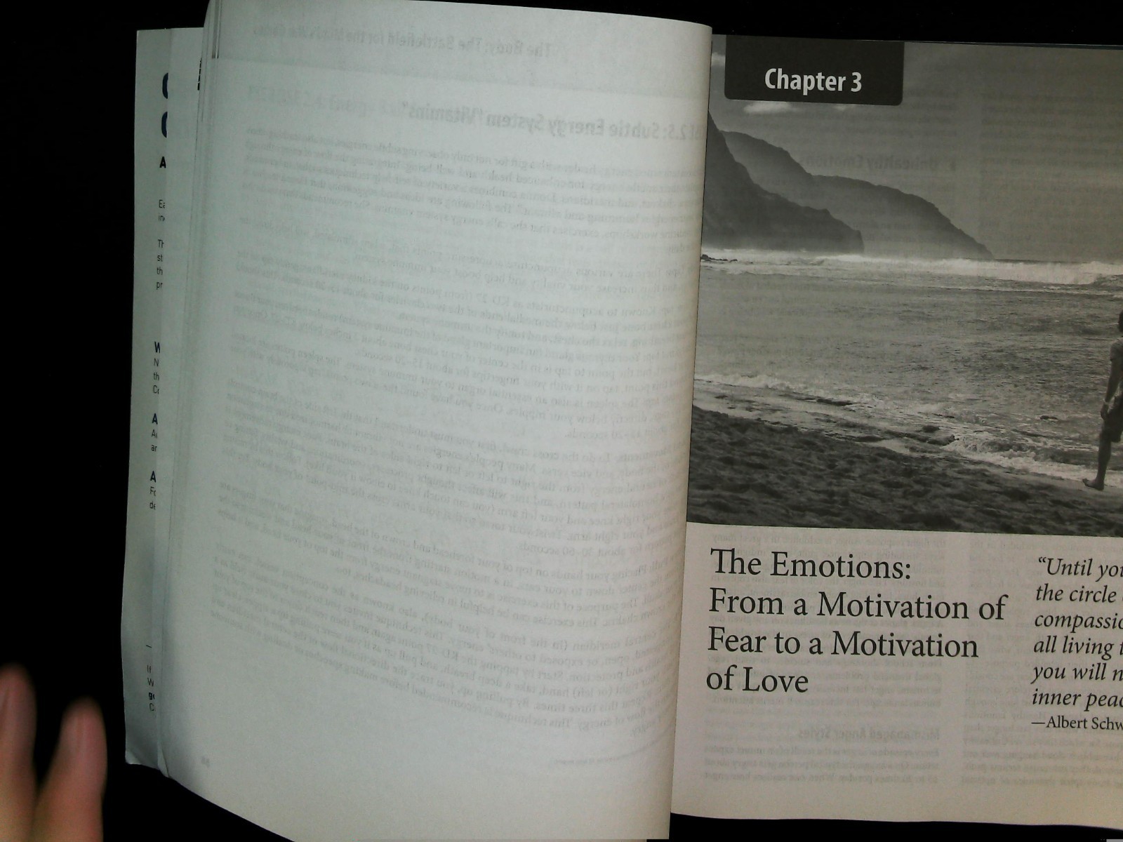 Essentials of Managing Stress by Brian Luke Seaward (2019, Trade Paperback)