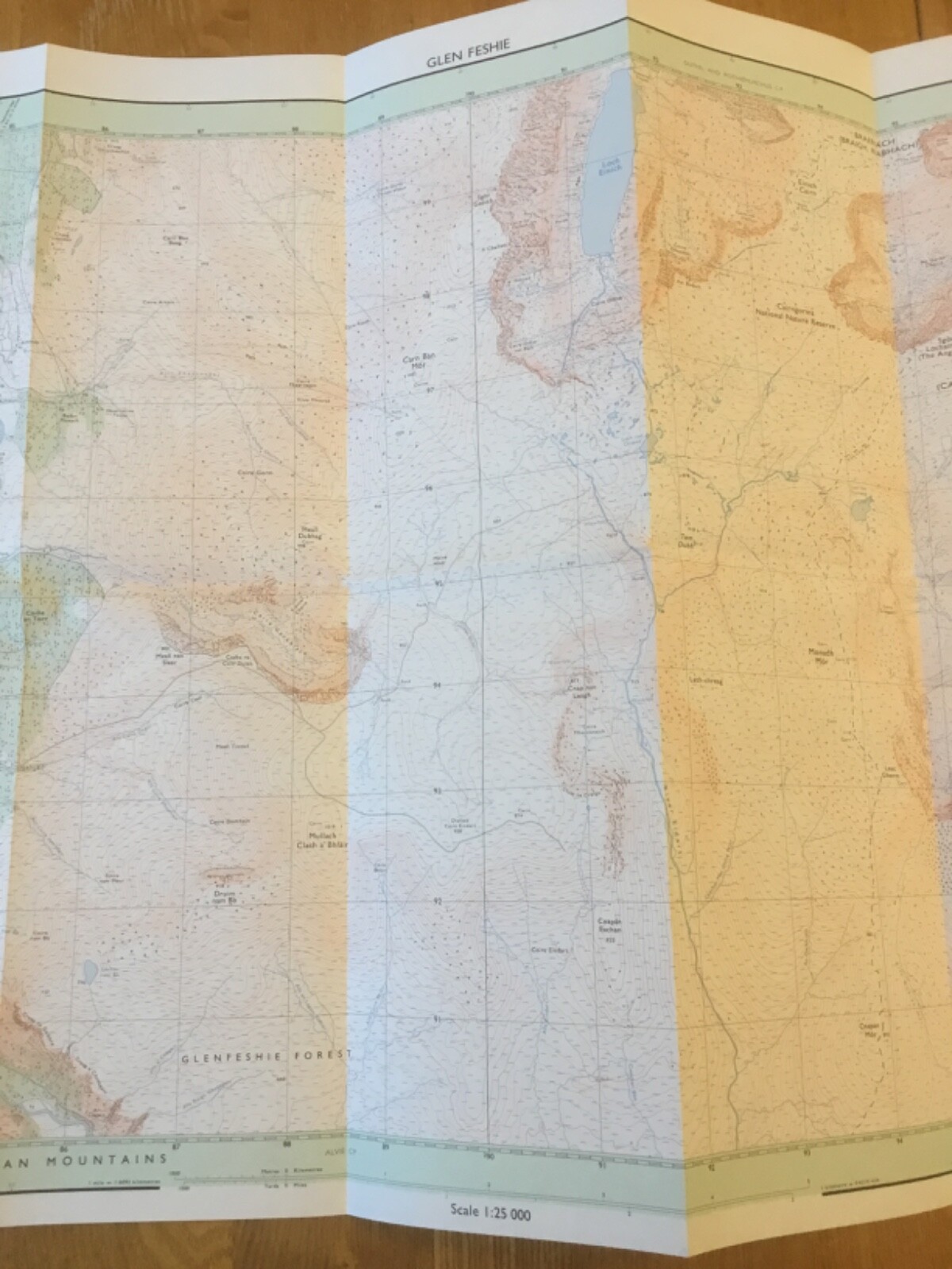 1975 Ordnance Survey Pathfinder Map 254 NN 89/99 Glen Feshie (incl Ben Macdui )