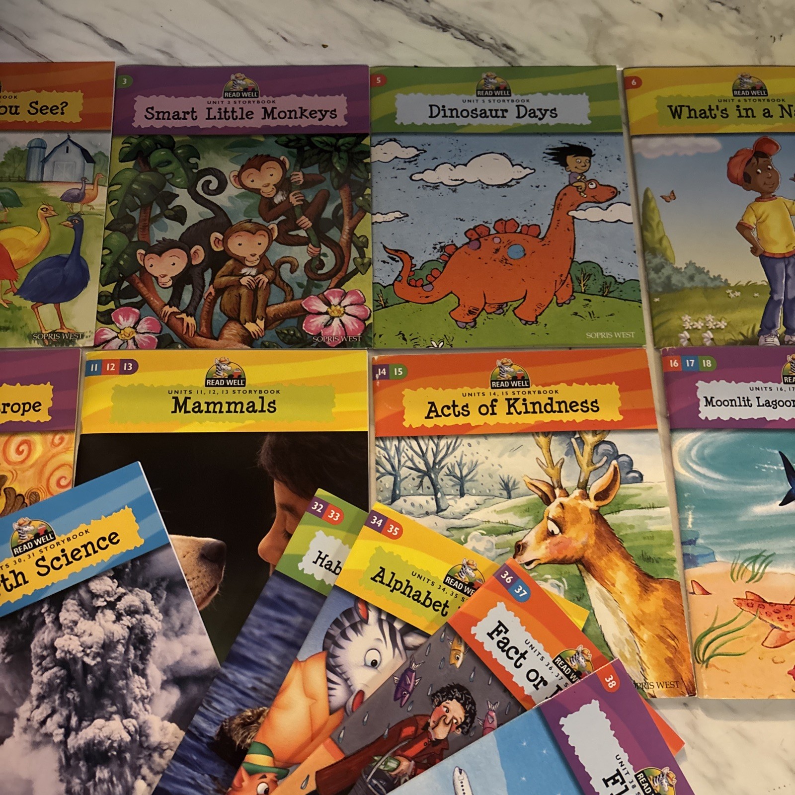 Grade 1 Read well Book Set 30 books