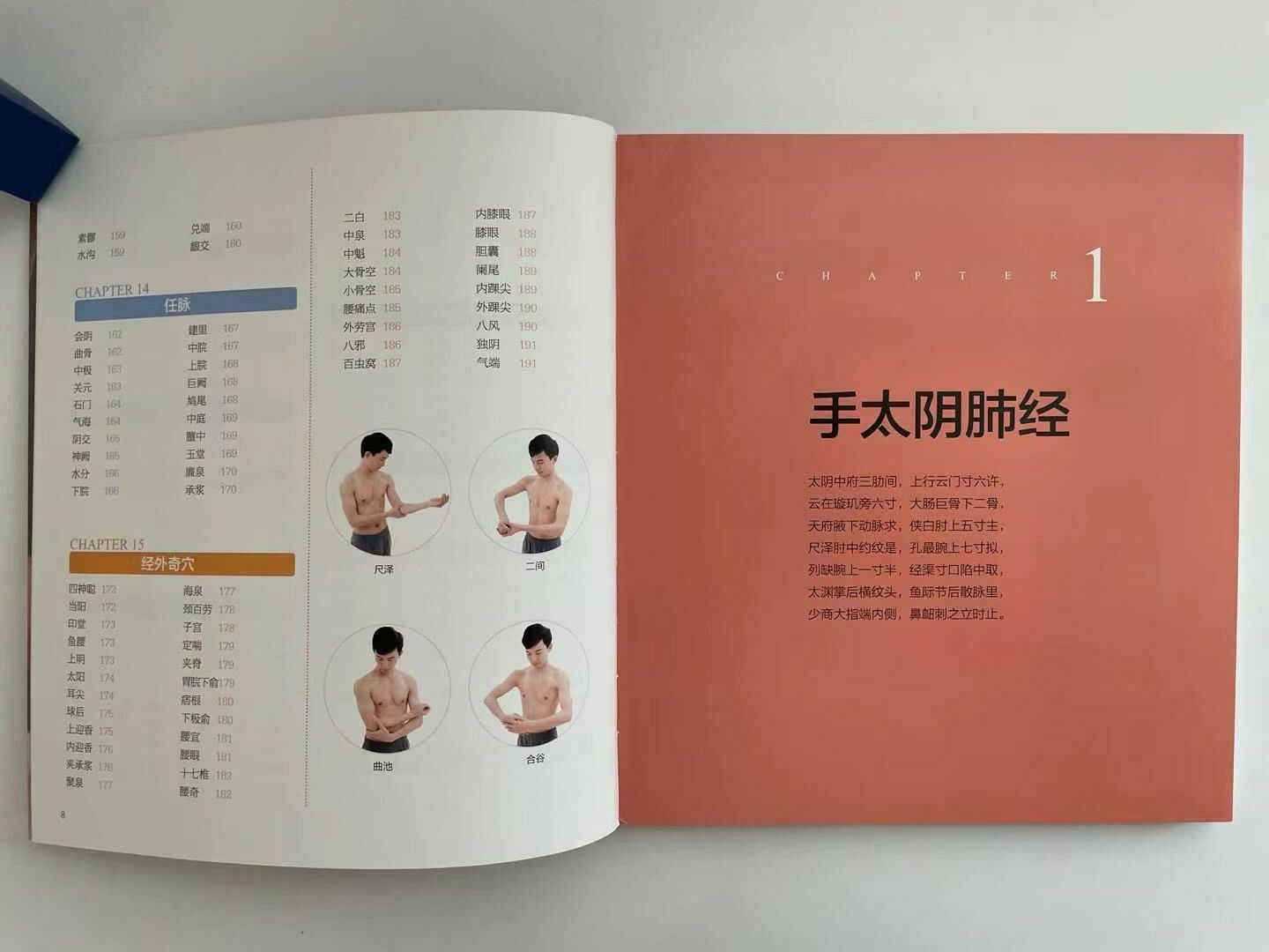 简体全中文零基础学会快速取穴 Learn to pick acupoints quickly in Chinese