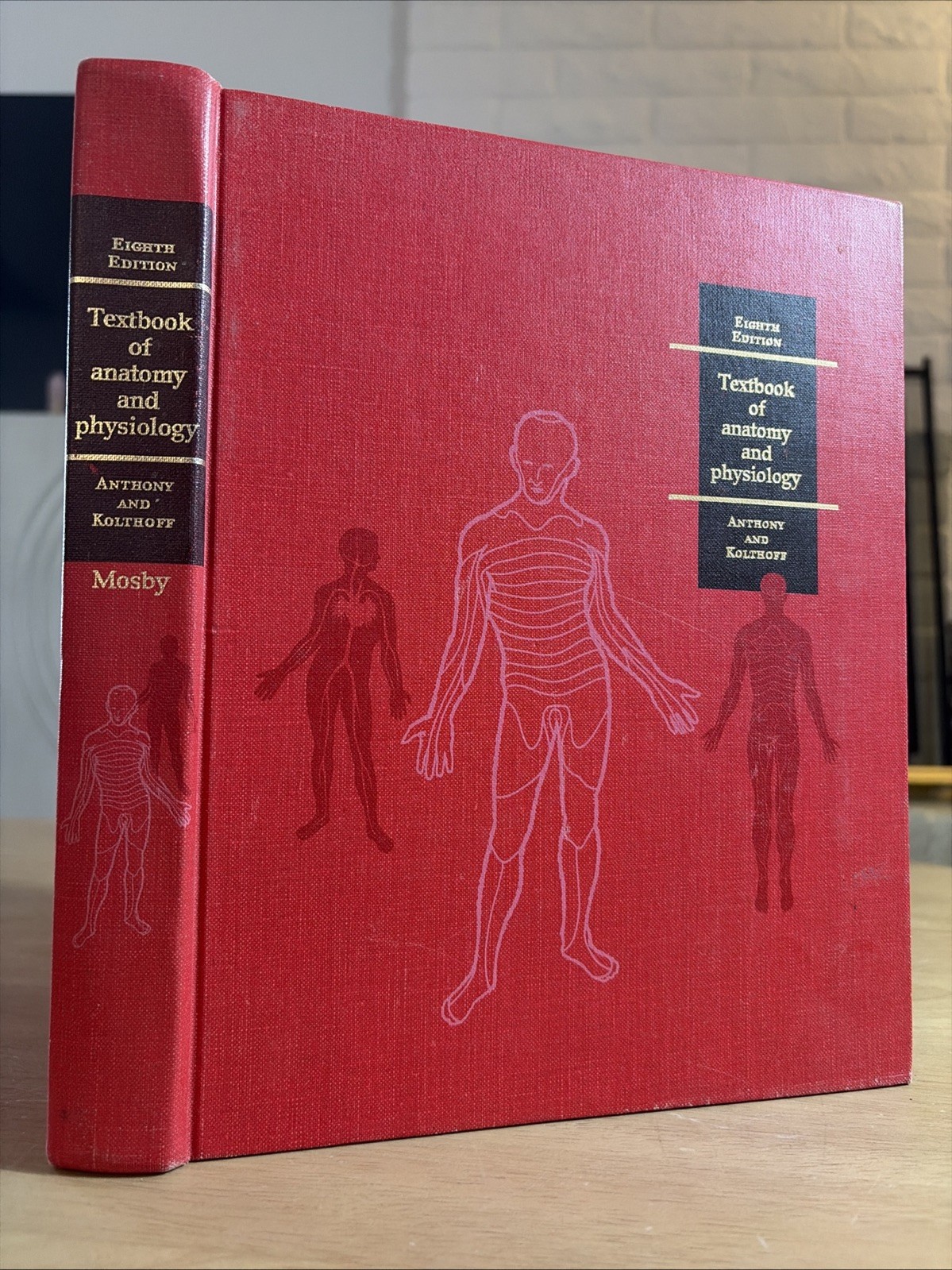 Textbook of Anatomy And Physiology 8th Edition by Anthony & Kolthoff – 1971 VG
