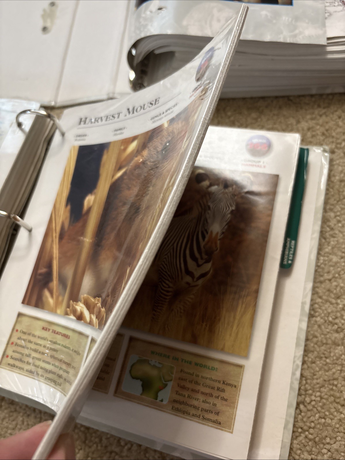 WILDLIFE EXPLORER ~ 3 Binders Full w/Animal Science Groups Various Pages