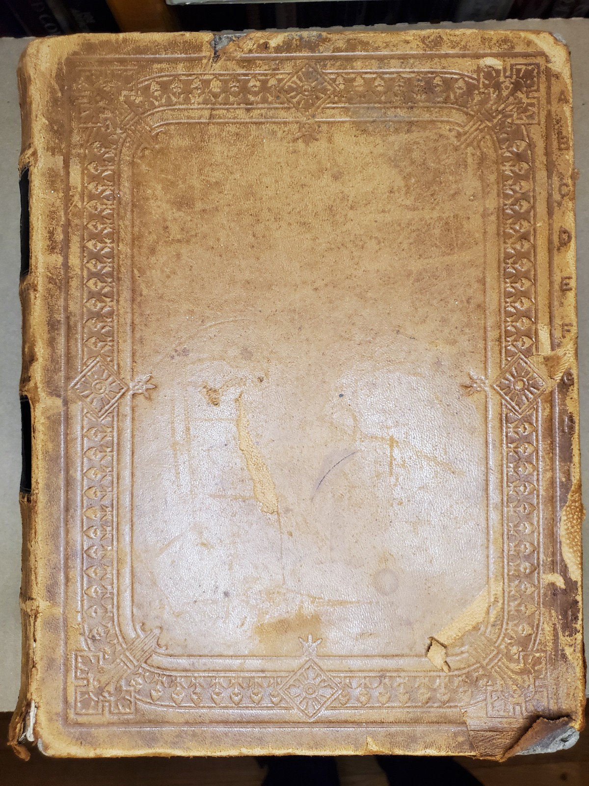 Webster’s Unabridged Dictionary – Leatherbound w/ 3000 Illus. – 1889, HC