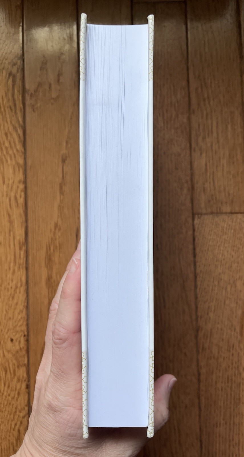 The Jewish Annotated Apocrypha by Jonathan Klawans NRSV 2020