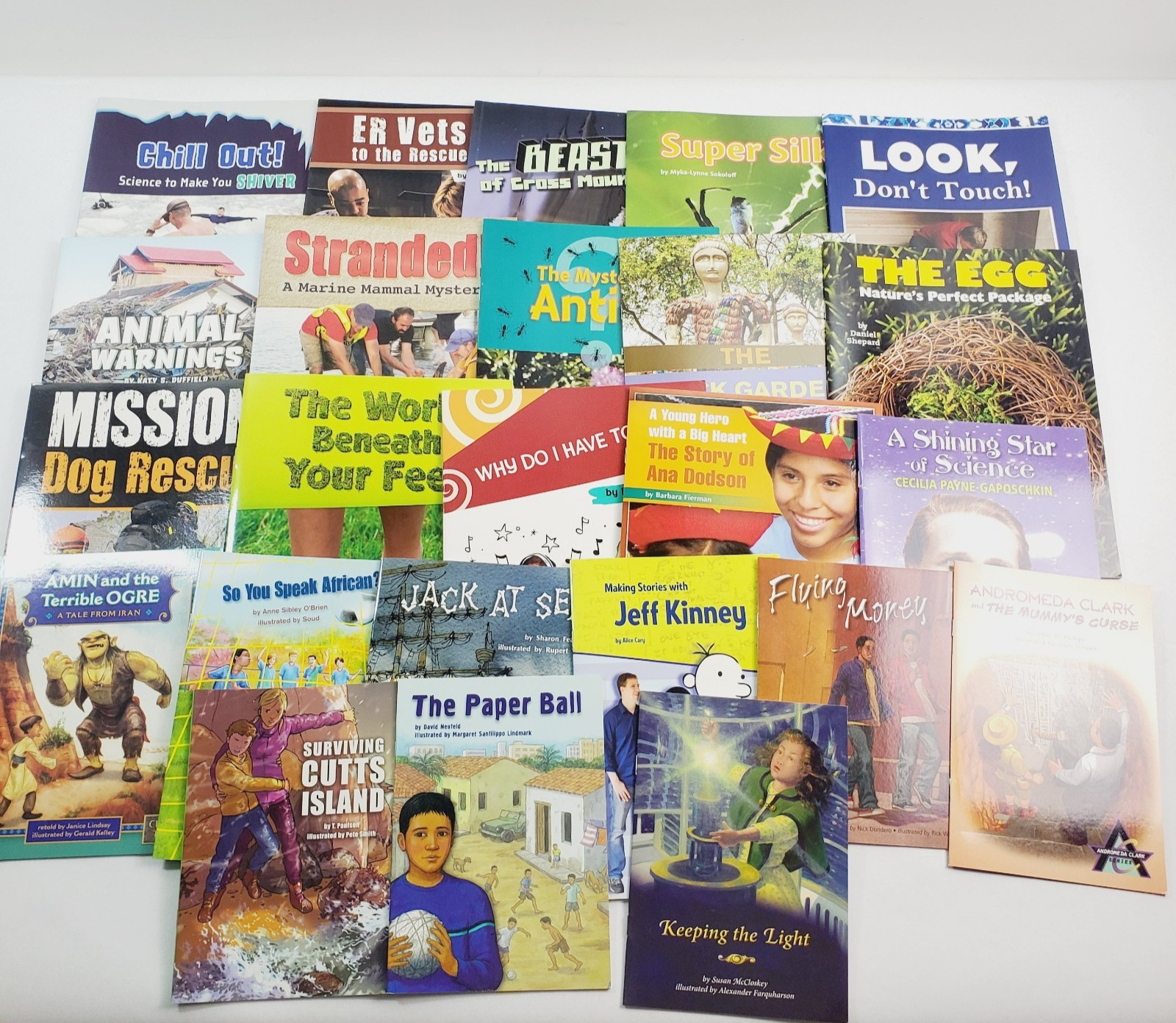 Lot of 24 Fountas & Pinnell LLI Gold System Level P Grade 4 Leveled Readers