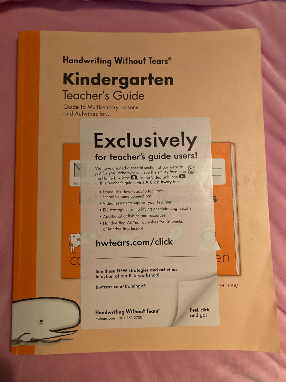 Kindergarten Teacher’s Guide by Jan Z. Olsen and Emily Knapton (2008, Trade…