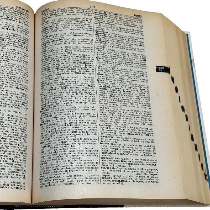New American Edition Websters Encyclopedia of Dictionaries Large Type 1978 (2)