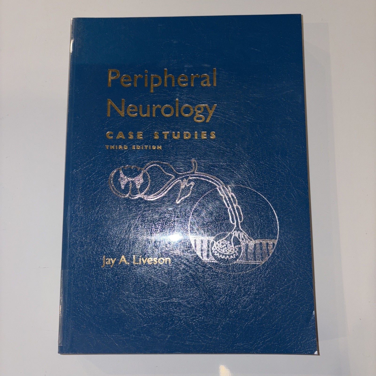 Peripheral Neurology : Case Studies by Jay Allan Liveson (2000, Trade Paperback)